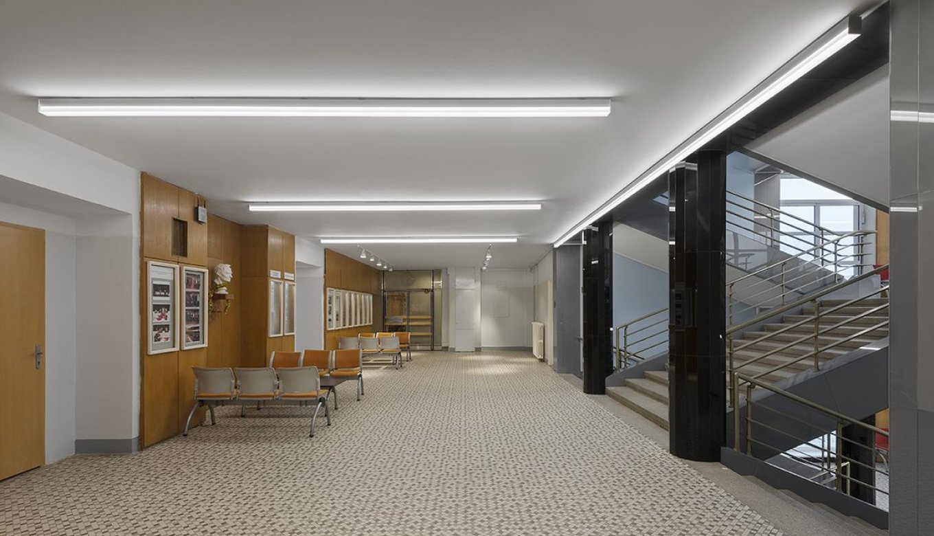 Faculty of Medicine