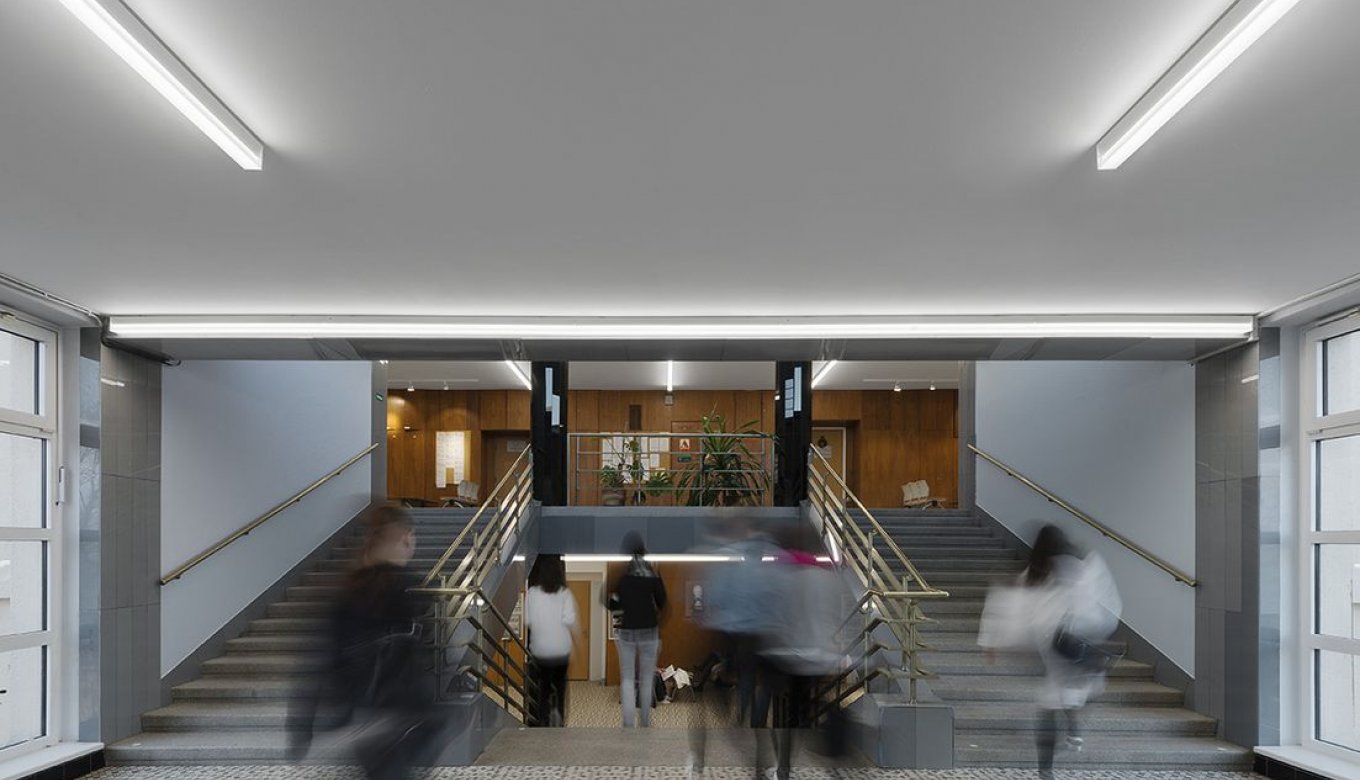 Faculty of Medicine
