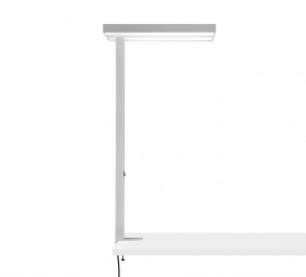 Leira