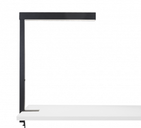 Stan